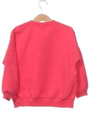 Bluză pentru copii, Mărime 5-6y/ 116-122 cm, Culoare Roz, Preț 39,80 Lei