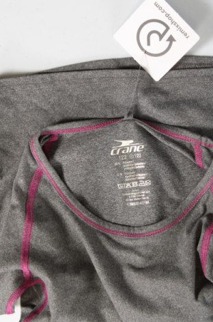 Детска блуза Crane, Размер 5-6y/ 116-122 см, Цвят Сив, Цена 6,12 лв.