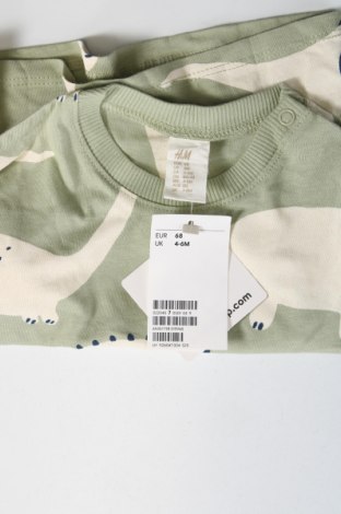 Παιδικό μπλουζάκι H&M, Μέγεθος 6-9m/ 68-74 εκ., Χρώμα Πολύχρωμο, Τιμή 8,18 €