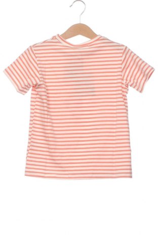 Παιδικό μπλουζάκι Little Celebs, Μέγεθος 3-4y/ 104-110 εκ., Χρώμα Πολύχρωμο, Τιμή 6,19 €