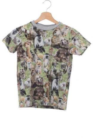 Παιδικό μπλουζάκι Molo, Μέγεθος 8-9y/ 134-140 εκ., Χρώμα Πολύχρωμο, Τιμή 9,72 €