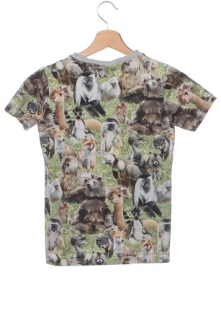 Kinder T-Shirt Molo, Größe 8-9y/ 134-140 cm, Farbe Mehrfarbig, Preis 9,72 €