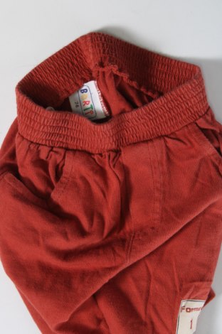 Детски къс панталон, Размер 6-9m/ 68-74 см, Цвят Кафяв, Цена 6,57 лв.