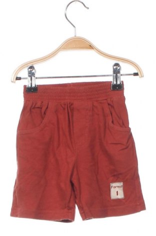 Детски къс панталон, Размер 6-9m/ 68-74 см, Цвят Кафяв, Цена 5,75 лв.