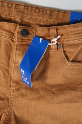 Детски къс панталон Blue Ridge, Размер 14-15y/ 168-170 см, Цвят Кафяв, Цена 22,00 лв.