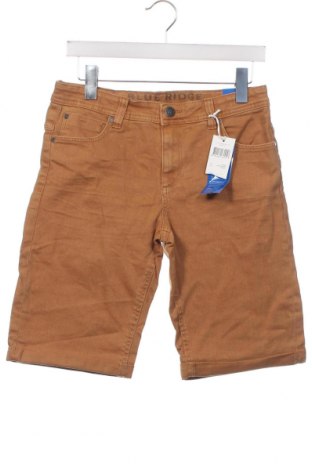 Детски къс панталон Blue Ridge, Размер 14-15y/ 168-170 см, Цвят Кафяв, Цена 12,54 лв.