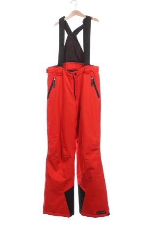 Детски панталон за зимни спортове Etirel, Размер 15-18y/ 170-176 см, Цвят Червен, Цена 33,00 лв.