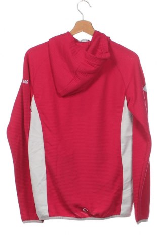 Kinder Sweatshirts Regatta, Größe 15-18y/ 170-176 cm, Farbe Rosa, Preis € 18,09