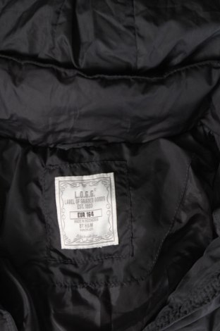 Dětská bunda  H&M L.O.G.G., Velikost 12-13y/ 158-164 cm, Barva Šedá, Cena  413,00 Kč