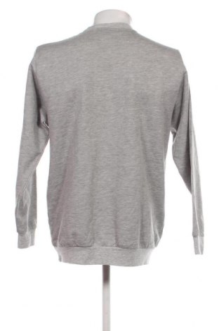 Ανδρική μπλούζα, Μέγεθος S, Χρώμα Γκρί, Τιμή 6,35 €