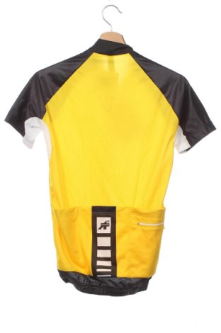 Herren Shirt Assos, Größe S, Farbe Mehrfarbig, Preis 50,10 €