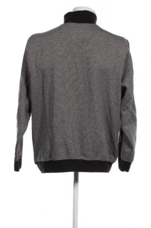Ανδρική μπλούζα Bexleys, Μέγεθος L, Χρώμα Γκρί, Τιμή 14,85 €