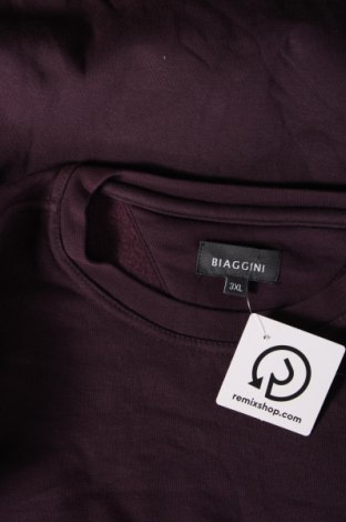 Мъжка блуза Biaggini, Размер 3XL, Цвят Лилав, Цена 19,00 лв.