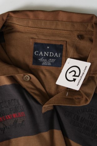 Ανδρική μπλούζα Canda, Μέγεθος M, Χρώμα Πολύχρωμο, Τιμή 6,35 €