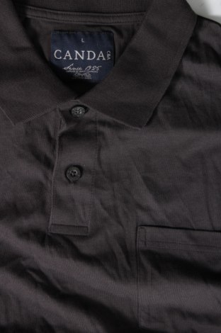 Ανδρική μπλούζα Canda, Μέγεθος L, Χρώμα Γκρί, Τιμή 6,70 €