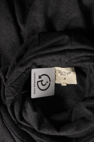 Ανδρική μπλούζα CedarWood State, Μέγεθος M, Χρώμα Γκρί, Τιμή 5,41 €
