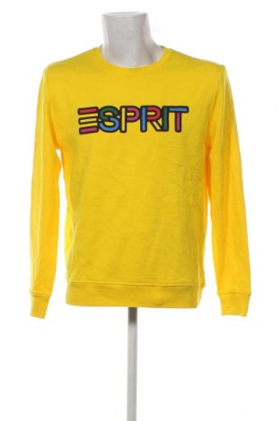 Ανδρική μπλούζα Esprit, Μέγεθος M, Χρώμα Κίτρινο, Τιμή 8,91 €