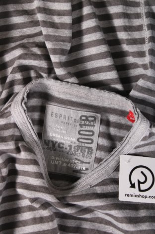 Herren Shirt Esprit, Größe XL, Farbe Grau, Preis 4,34 €