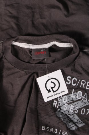 Ανδρική μπλούζα Esprit, Μέγεθος S, Χρώμα Γκρί, Τιμή 8,02 €