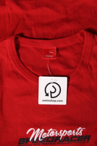 Ανδρική μπλούζα Esprit, Μέγεθος L, Χρώμα Κόκκινο, Τιμή 7,57 €