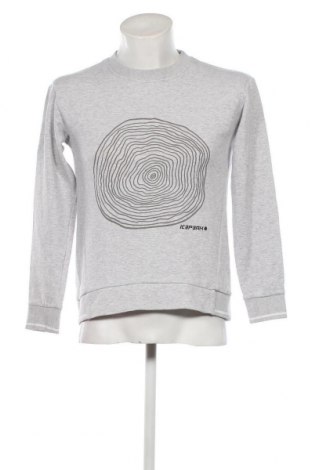 Herren Shirt Icepeak, Größe S, Farbe Grau, Preis € 23,39