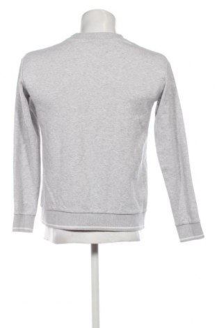 Herren Shirt Icepeak, Größe S, Farbe Grau, Preis € 26,25