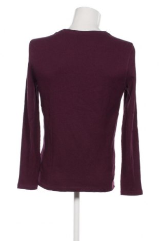 Ανδρική μπλούζα McNeal, Μέγεθος M, Χρώμα Βιολετί, Τιμή 5,68 €