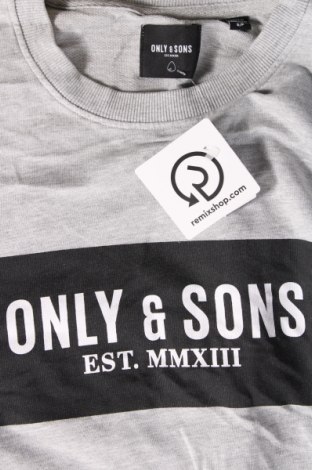Ανδρική μπλούζα Only & Sons, Μέγεθος S, Χρώμα Γκρί, Τιμή 5,99 €