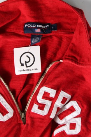 Ανδρική μπλούζα Polo Sport, Μέγεθος L, Χρώμα Κόκκινο, Τιμή 35,40 €