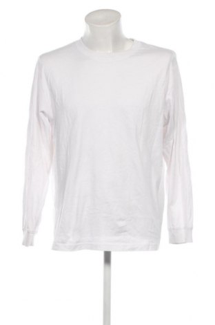 Herren Shirt Pull&Bear, Größe L, Farbe Weiß, Preis € 9,62