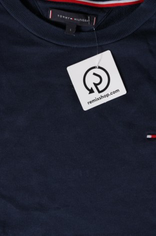 Ανδρική μπλούζα Tommy Hilfiger, Μέγεθος L, Χρώμα Μπλέ, Τιμή 36,49 €