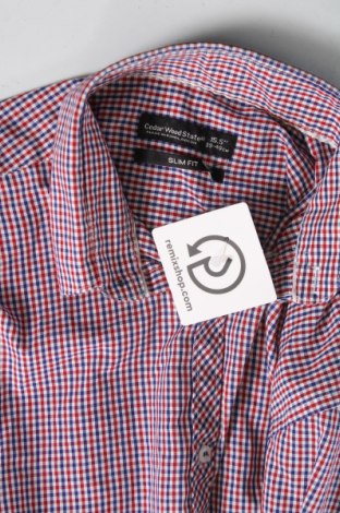 Ανδρικό πουκάμισο CedarWood State, Μέγεθος M, Χρώμα Πολύχρωμο, Τιμή 4,31 €