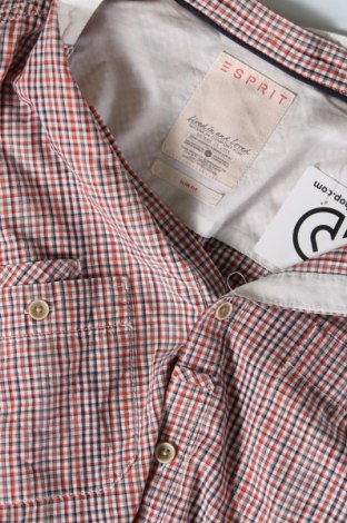 Ανδρικό πουκάμισο Esprit, Μέγεθος L, Χρώμα Πολύχρωμο, Τιμή 9,69 €