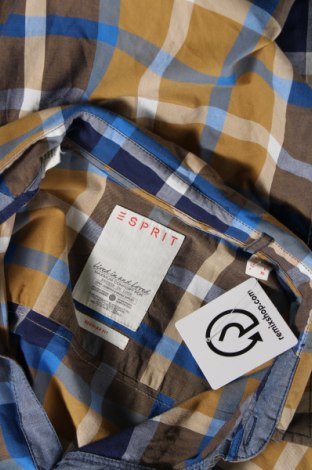 Herrenhemd Esprit, Größe L, Farbe Mehrfarbig, Preis 20,18 €