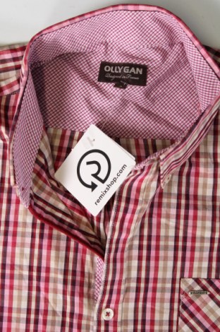 Мъжка риза Olly Gan, Размер L, Цвят Многоцветен, Цена 13,92 лв.