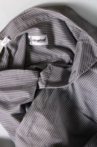 Ανδρικό πουκάμισο Walbusch, Μέγεθος XL, Χρώμα Γκρί, Τιμή 13,08 €