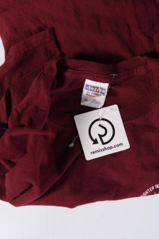 Herren T-Shirt Jerzees, Größe XL, Farbe Rot, Preis € 6,62