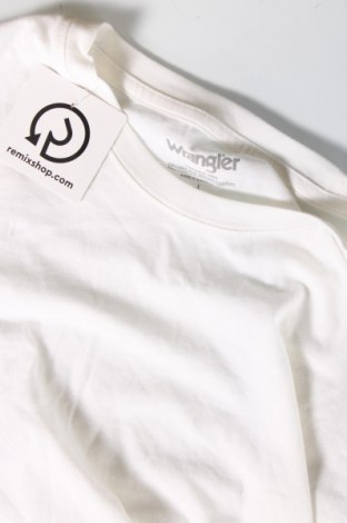 Herren T-Shirt Wrangler, Größe L, Farbe Ecru, Preis 28,00 €