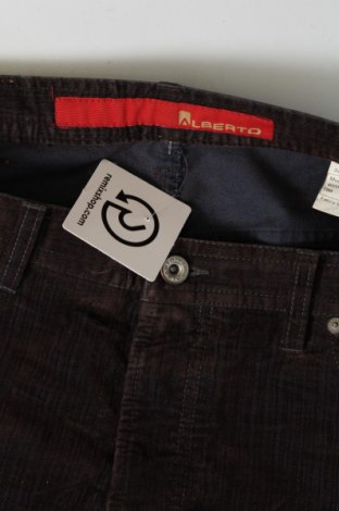 Herren Jeans Alberto, Größe XL, Farbe Braun, Preis € 45,23
