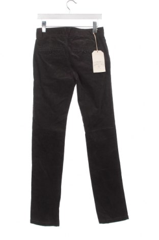 Herren Jeans Celio, Größe S, Farbe Grau, Preis 5,44 €