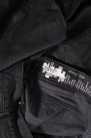 Herren Jeans Esprit, Größe XL, Farbe Grau, Preis € 20,46