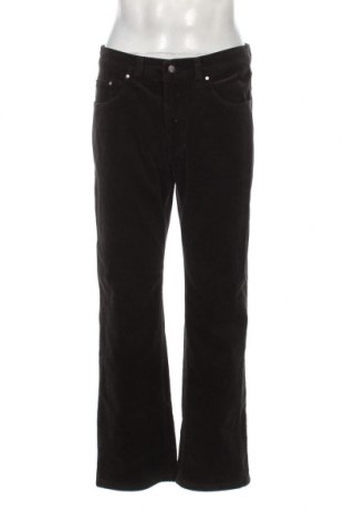 Herren Jeans Pioneer, Größe L, Farbe Grün, Preis 27,24 €