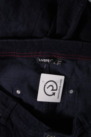 Ανδρικό κοτλέ παντελόνι Livergy, Μέγεθος XL, Χρώμα Μπλέ, Τιμή 9,69 €
