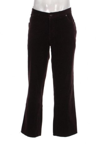 Pantaloni raiați de bărbați Marcel Battiston, Mărime L, Culoare Maro, Preț 43,88 Lei