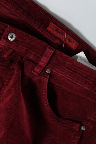 Pantaloni raiați de bărbați Pierre Cardin, Mărime L, Culoare Roșu, Preț 174,34 Lei