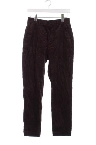 Pantaloni raiați de bărbați Zara, Mărime S, Culoare Gri, Preț 11,84 Lei