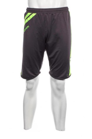 Herren Shorts, Größe XL, Farbe Grau, Preis 5,55 €