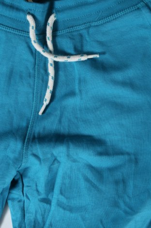 Ανδρικό κοντό παντελόνι, Μέγεθος M, Χρώμα Μπλέ, Τιμή 8,81 €