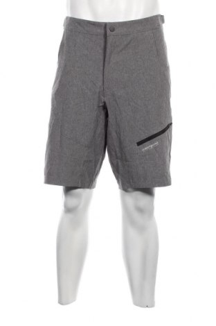 Ανδρικό κοντό παντελόνι, Μέγεθος XL, Χρώμα Γκρί, Τιμή 11,75 €