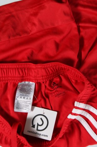Pánske kraťasy  Adidas, Veľkosť S, Farba Červená, Cena  16,44 €